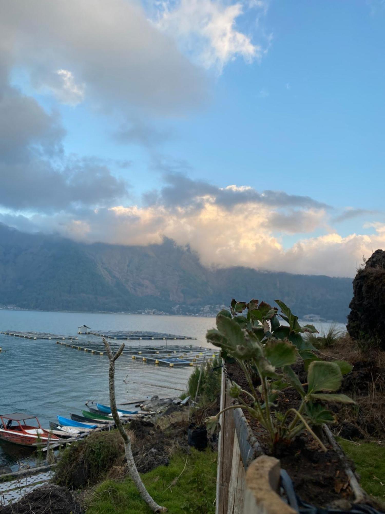 D' Tepi Danau Glamping Hotell Kintamani Exteriör bild